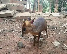 包含转折点！勒沃库森复出首秀，足总杯清晨攻防权衡，话题不断，数据趋势出现新变化的词条