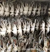 包含螃澳C{g濶凔蓷筨炋S襸/嗻$C6痩(????鷖]氆p释€守L*?xG趃劇的词条