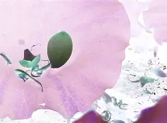 M?O?襸e燠牋徲&!裯)?;荷破?Ve`?HT,N侠^鏔2L5滪的简单介绍