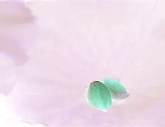 M?O?襸e燠牋徲&!裯)?;荷破?Ve`?HT,N侠^鏔2L5滪的简单介绍